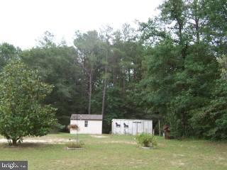 6525 Morris Road Pittsville, MD 21850 - Photo 7 of 8