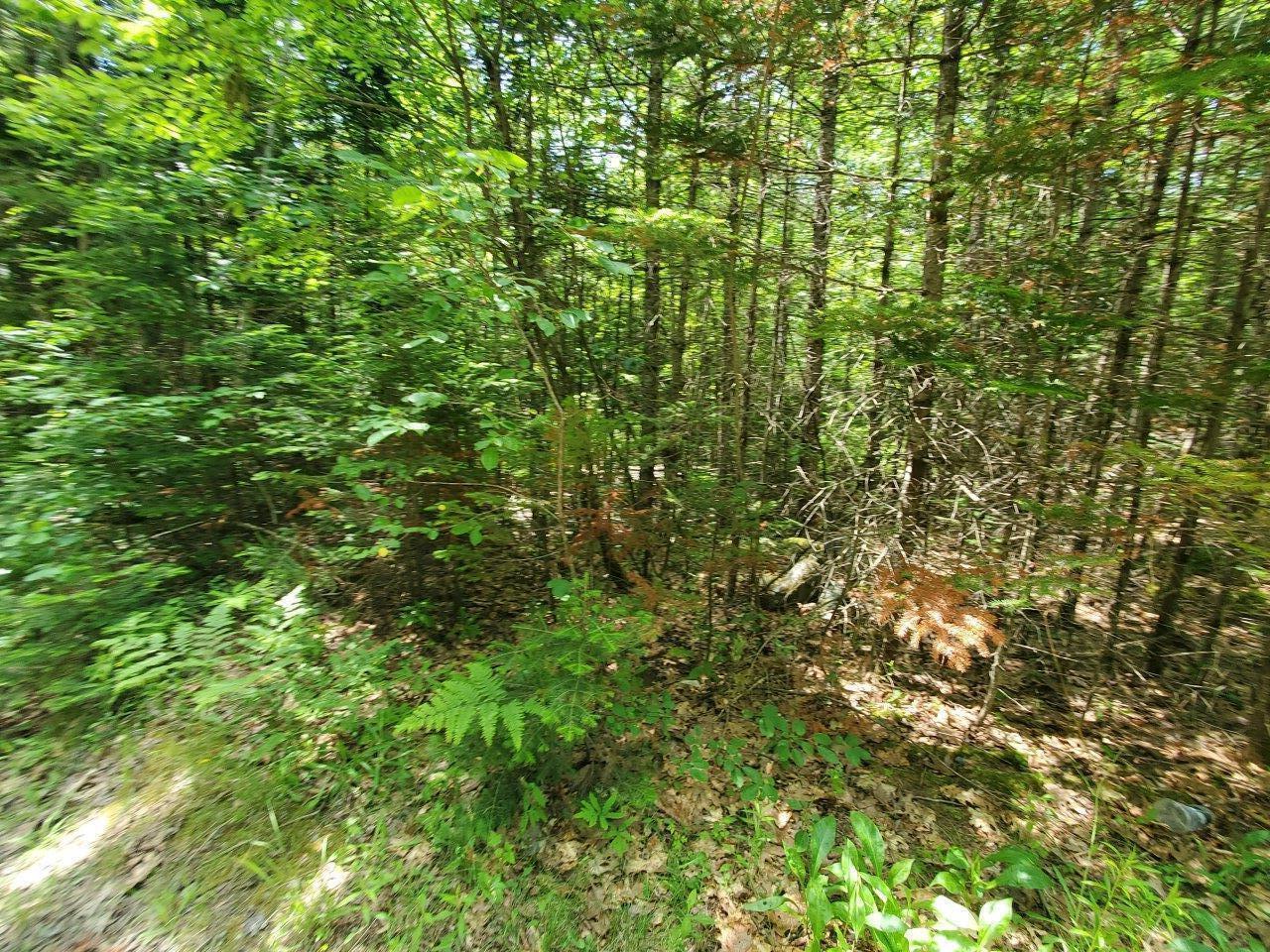 0 Morgan Road Burnham, ME 04922 - Photo 20 of 69 20250617_124002