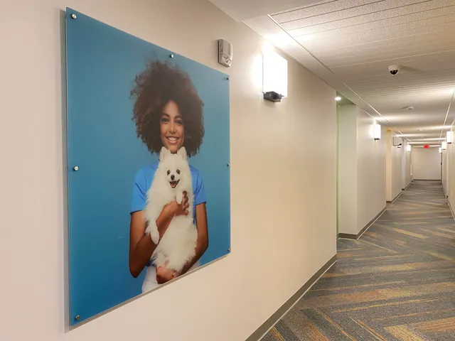 $1,649 | 409 Elm Street, Unit 205, Manchester, NH 03101