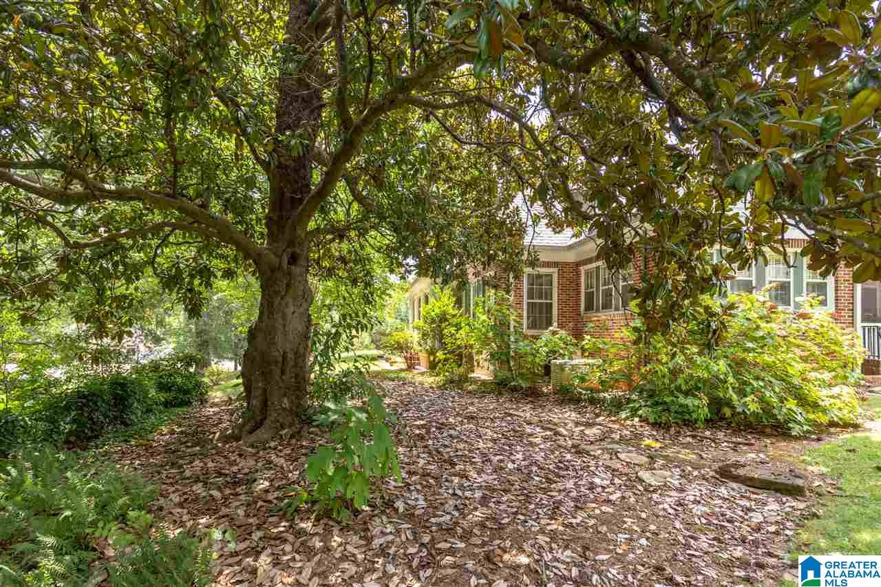 601 Almon Street Heflin, AL 36264 - Photo 47 of 50