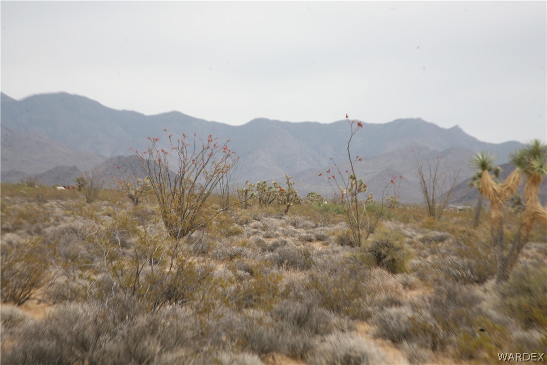 245-18-266 Alan Road Yucca, AZ 86438 - Photo 20 of 54