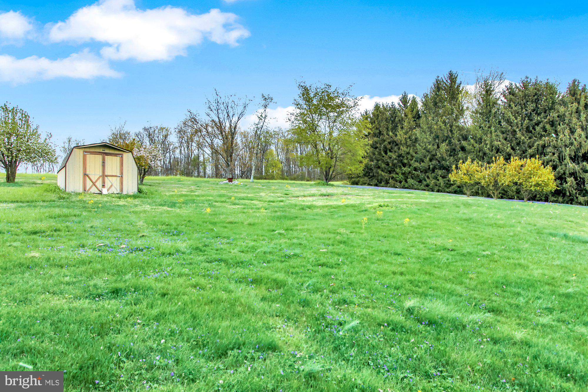 922 Hobart Road Hanover, PA 17331 - Photo 26 of 28 a view of a big yard with large trees