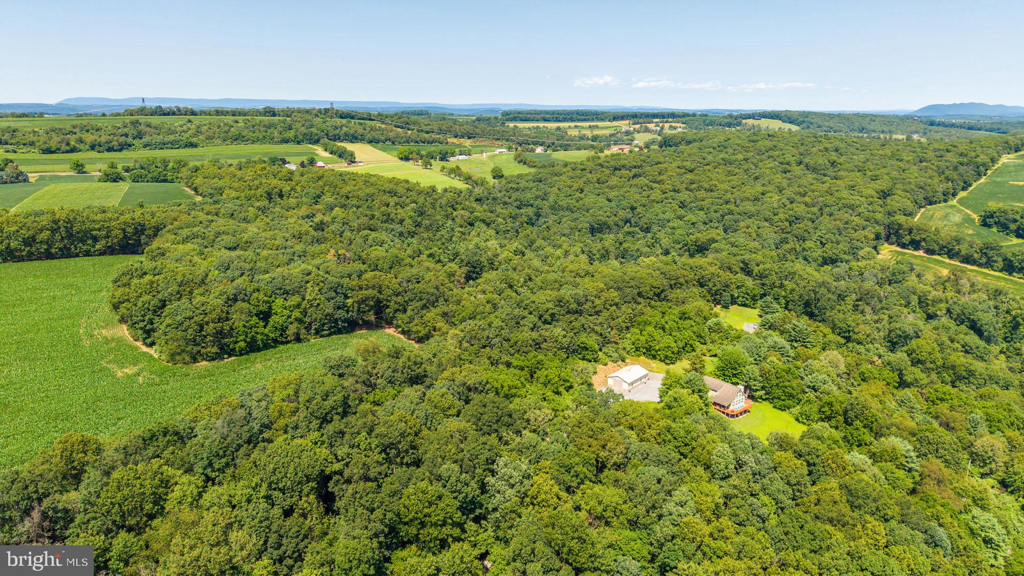 Hartman Road Danville, PA 17821 - Photo 5 of 11 Serene retreat amidst lush greenery.