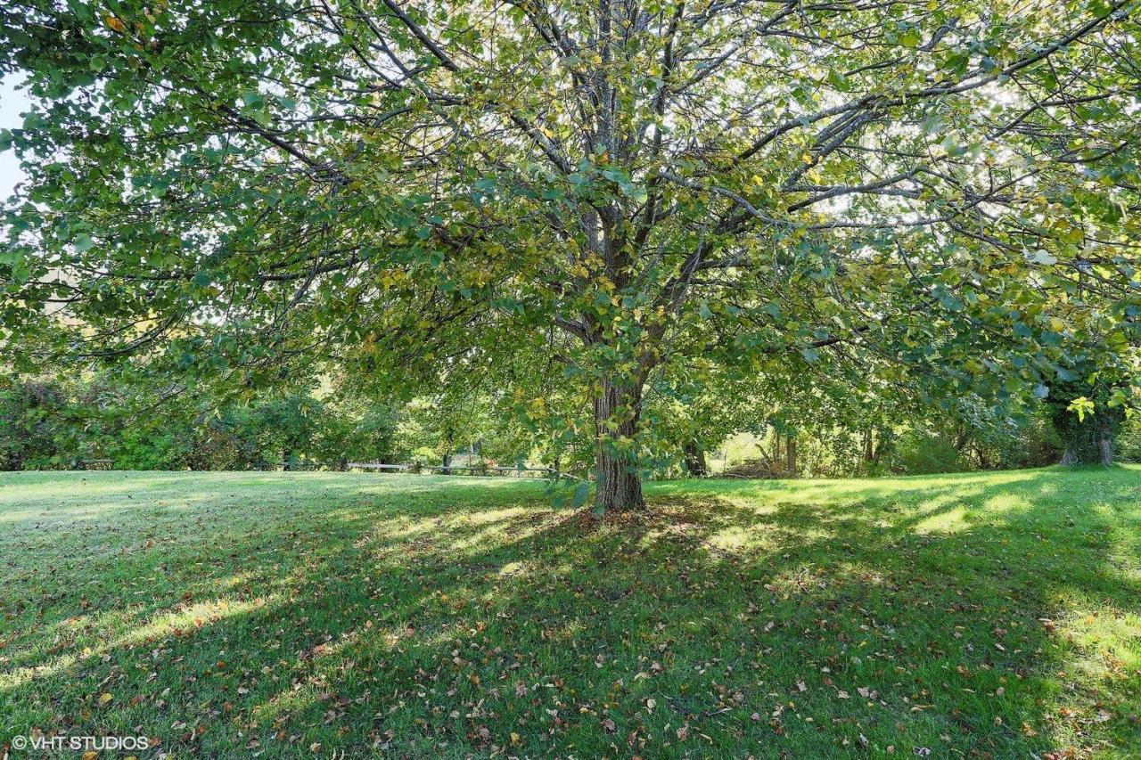 19 Salten Point Road Barnstable, MA 02630 - Photo 23 of 23 a view of outdoor space with trees all around