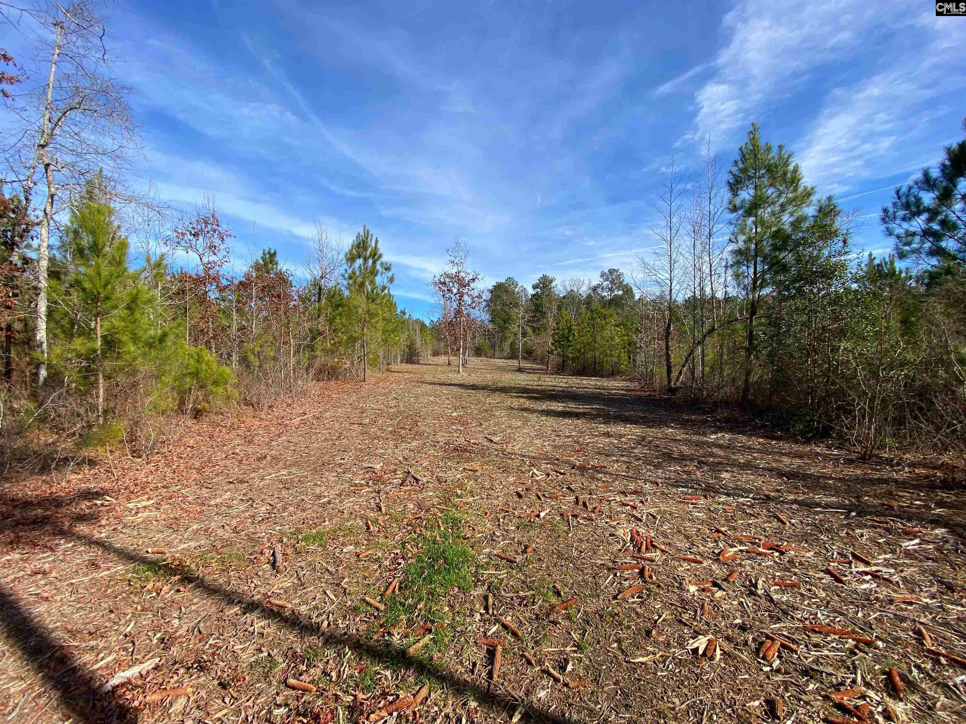 900 Pineywood Road Saluda, SC 29138 - Photo 18 of 23