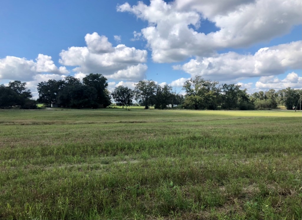 1960 Cedar Springs Road Ashford, AL 36312 - Photo 18 of 24