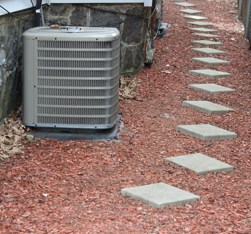 9 Hallam Street, Unit 3 Boston, MA 02125 - Photo 15 of 15