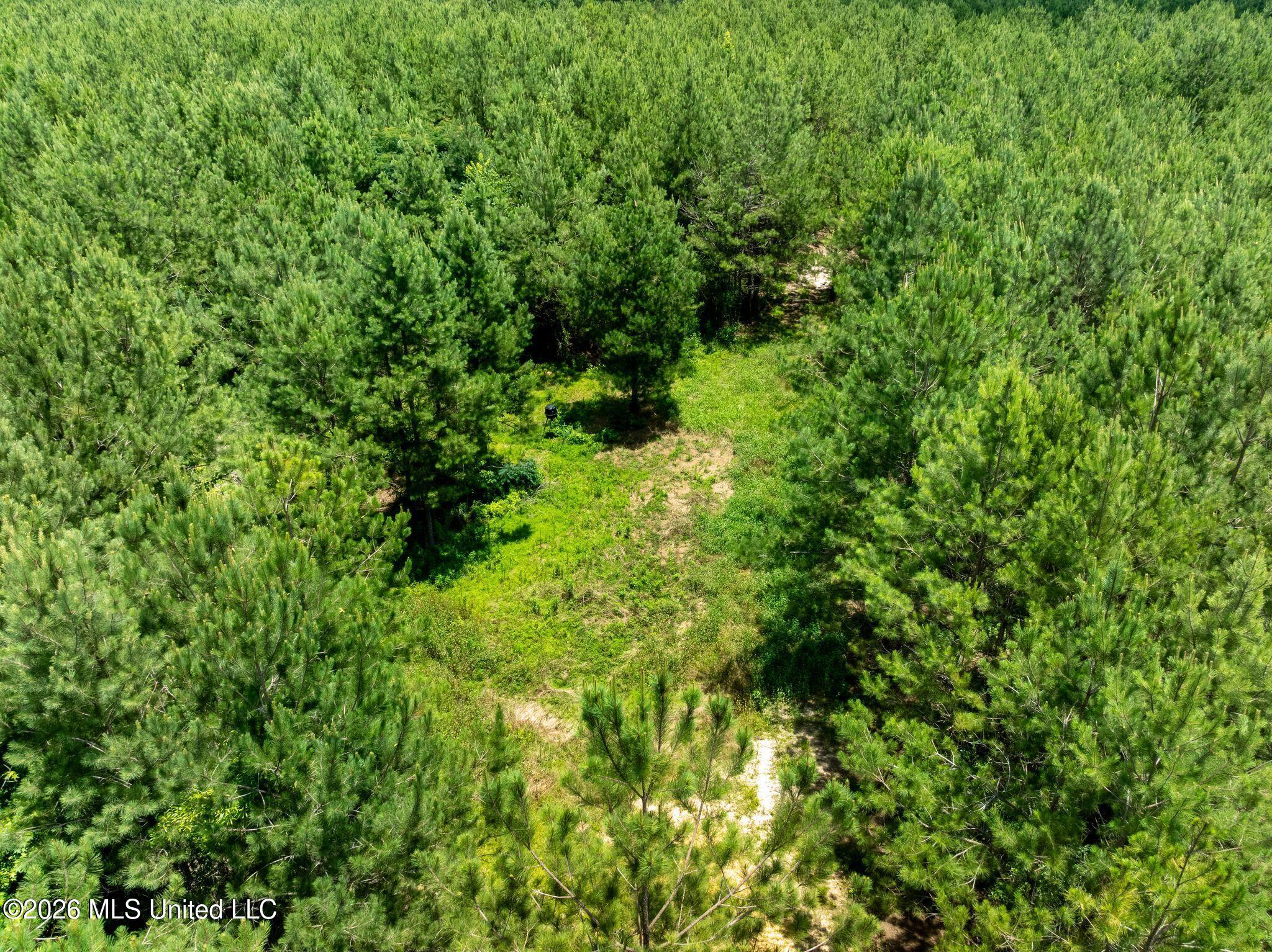 31-acres Ridgeland Road Bassfield, MS 39421 - Photo 21 of 27 85_Ridgeland_Rd-21