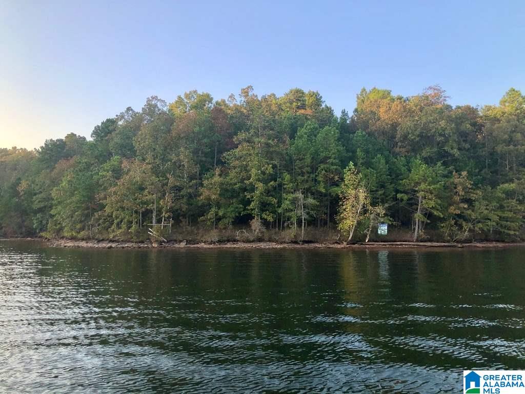 3292 County Road Wedowee, AL 36278 - Photo 2 of 9