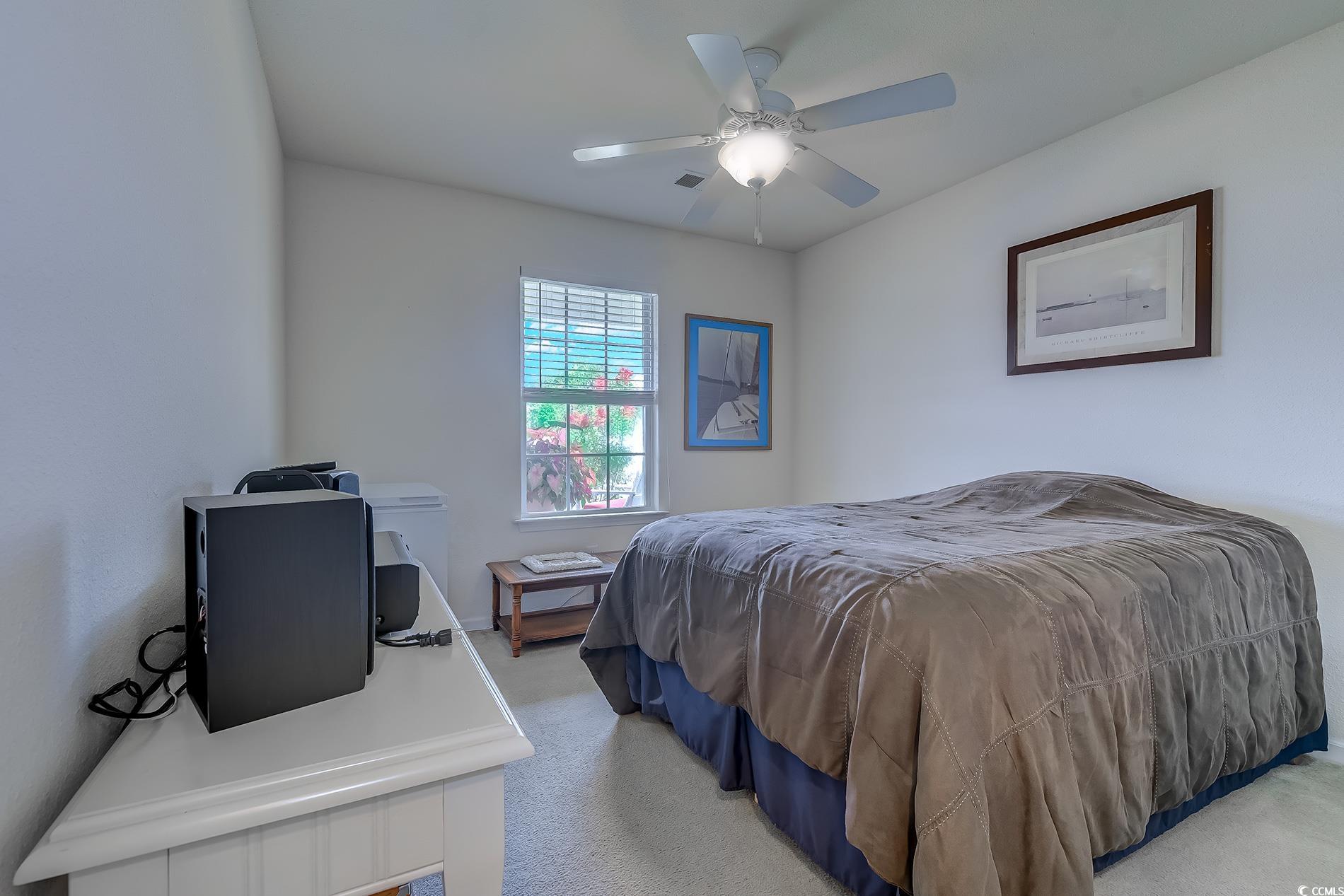 183 Blackpepper Loop Little River, SC 29566 - Photo 19 of 40