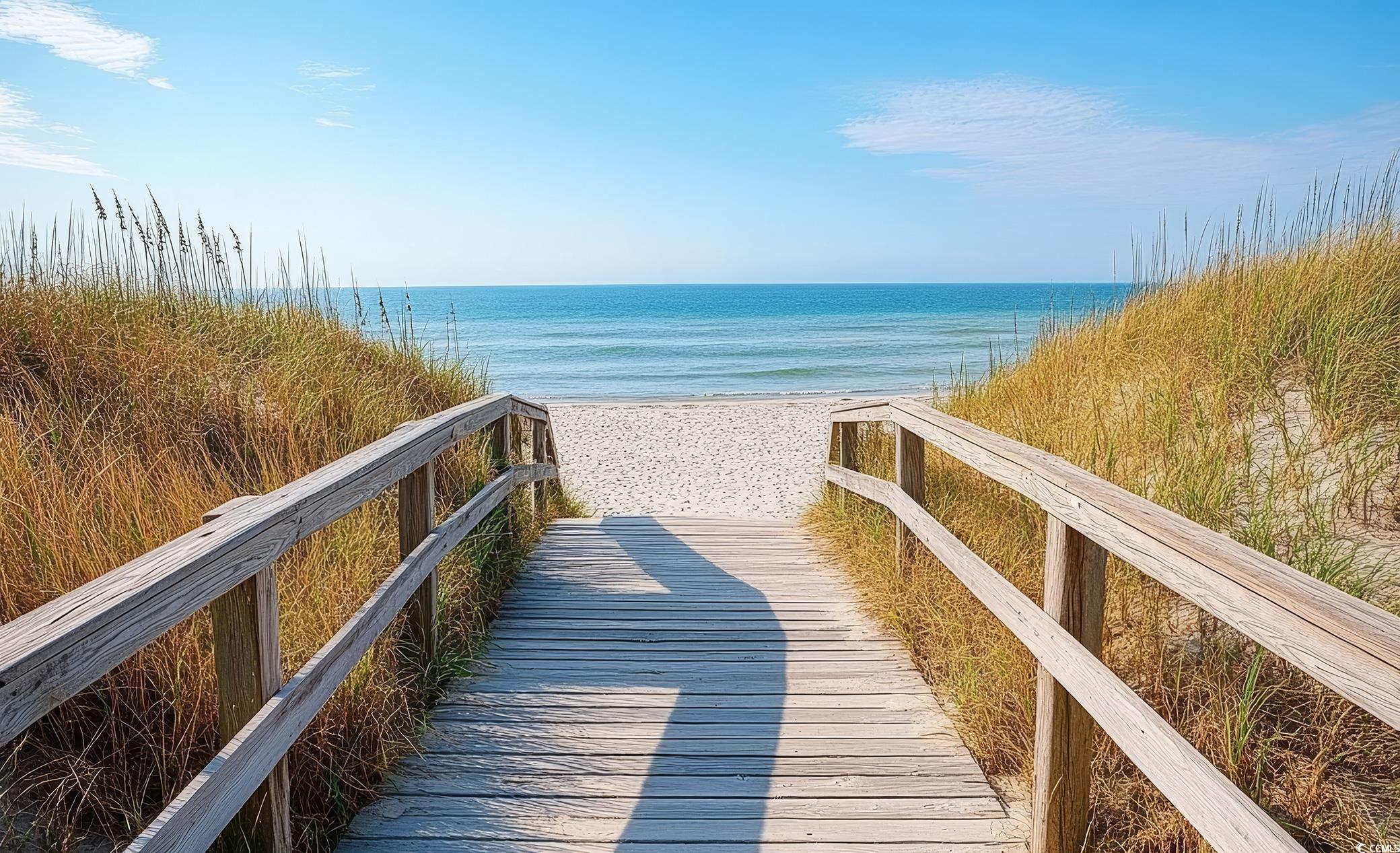 183 Blackpepper Loop Little River, SC 29566 - Photo 40 of 40