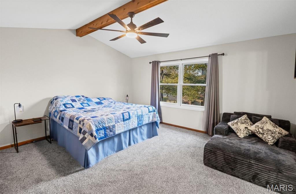 6 Mapleleaf Lane Belleville, IL 62223 - Photo 23 of 40