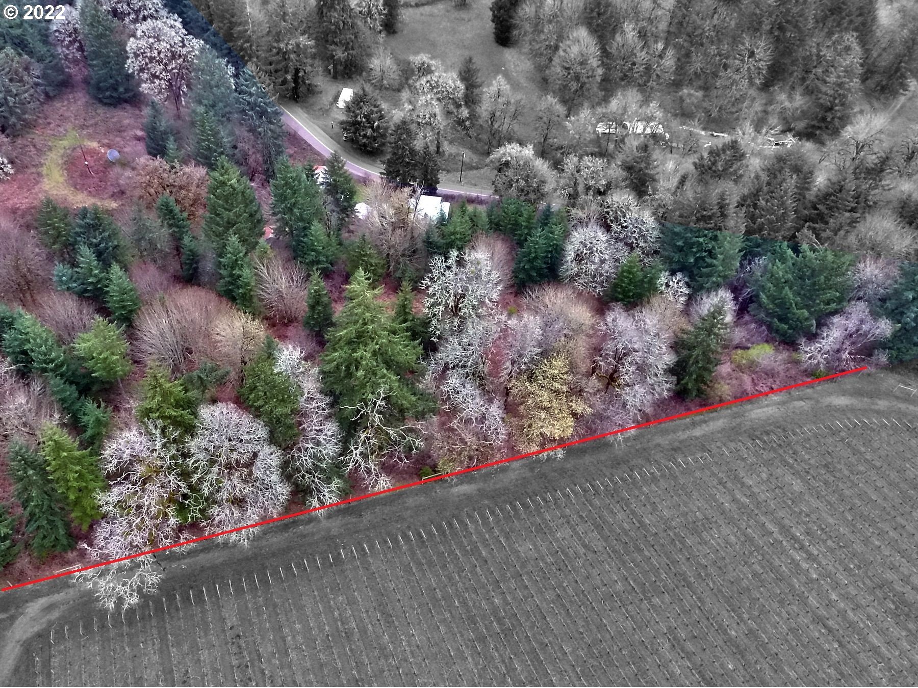 9701 Northeast Worden Hill Road Dundee, OR 97115 - Photo 5 of 12 Gallery Image 5