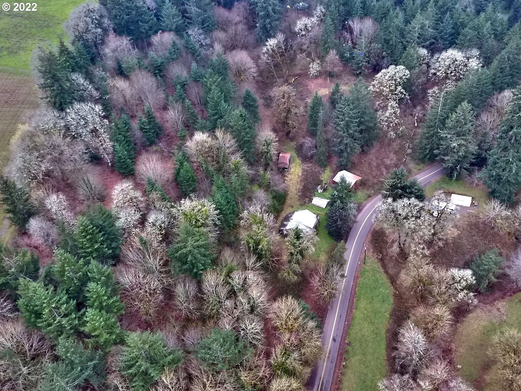 9701 Northeast Worden Hill Road Dundee, OR 97115 - Photo 6 of 12 Gallery Image 6