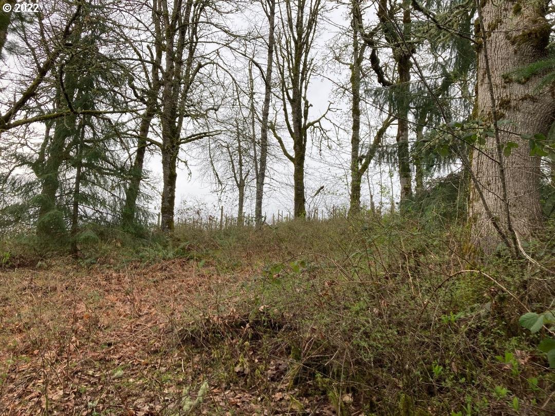 9701 Northeast Worden Hill Road Dundee, OR 97115 - Photo 8 of 12 Gallery Image 8
