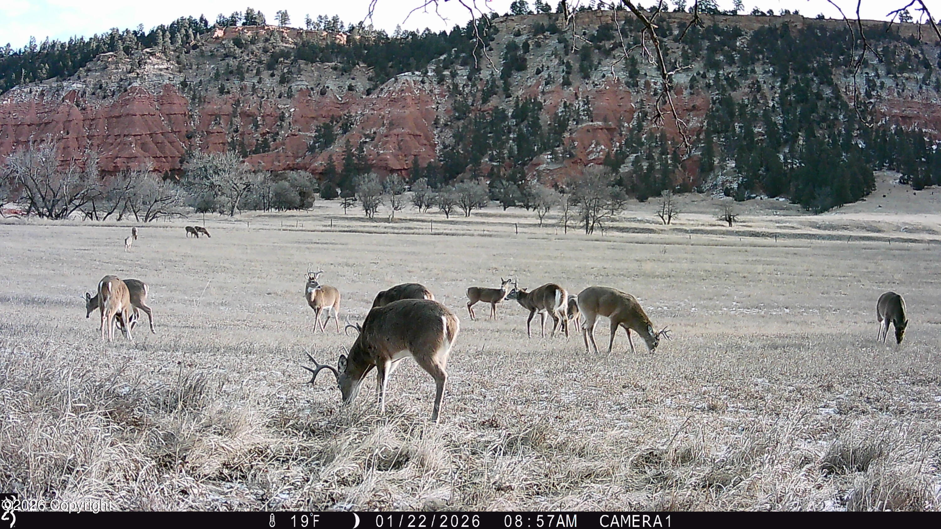 1 Belle River Ranch Hulett, WY 82720 - Photo 51 of 58 Gallery Image 51