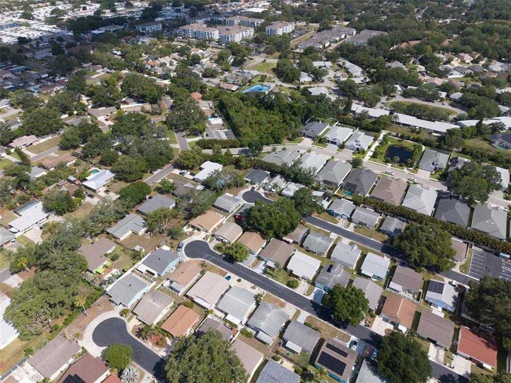 1009 Crane Court Dunedin, FL 34698 - Photo 54 of 63