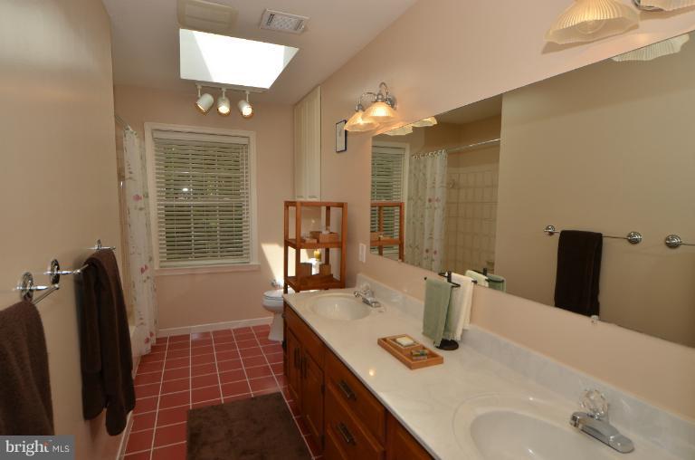 2010 Roundhouse Road Vienna, VA 22181 - Photo 18 of 30 a bathroom with a double vanity sink a mirror and a shower
