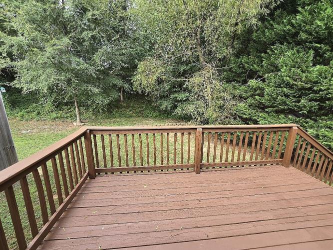 425 Danielle Way Fort Mill, SC 29715 - Photo 9 of 17