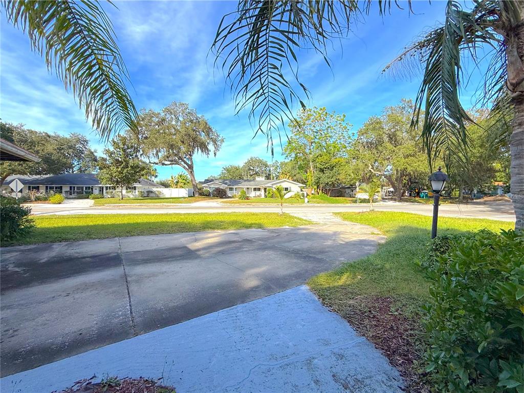 2464 Derbyshire Road Maitland, FL 32751 - Photo 6 of 42 a view of a swimming pool with a yard and palm trees