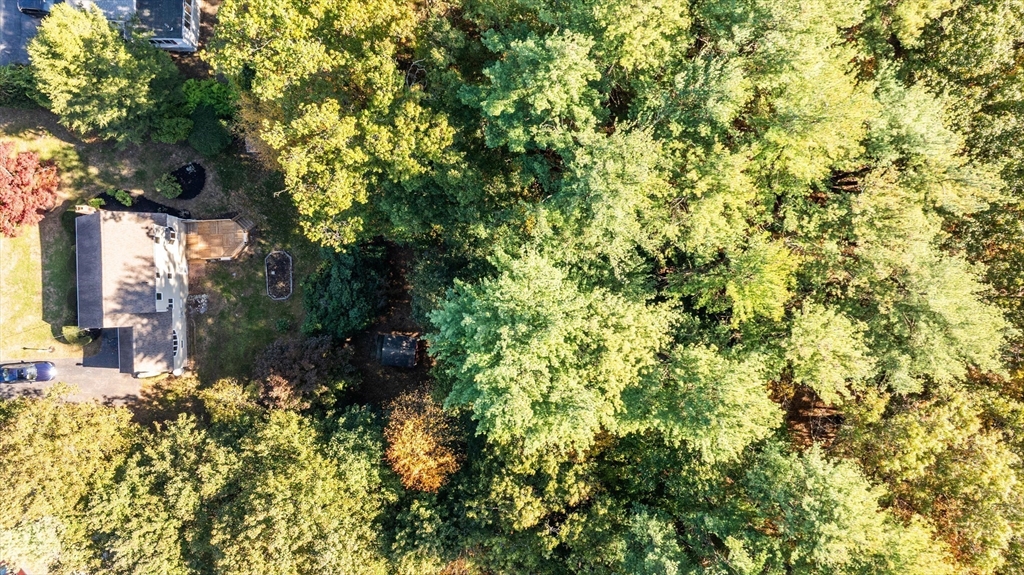 41 Marcus Road Wilmington, MA 01887 - Photo 4 of 29 a view of a yard with plants and trees