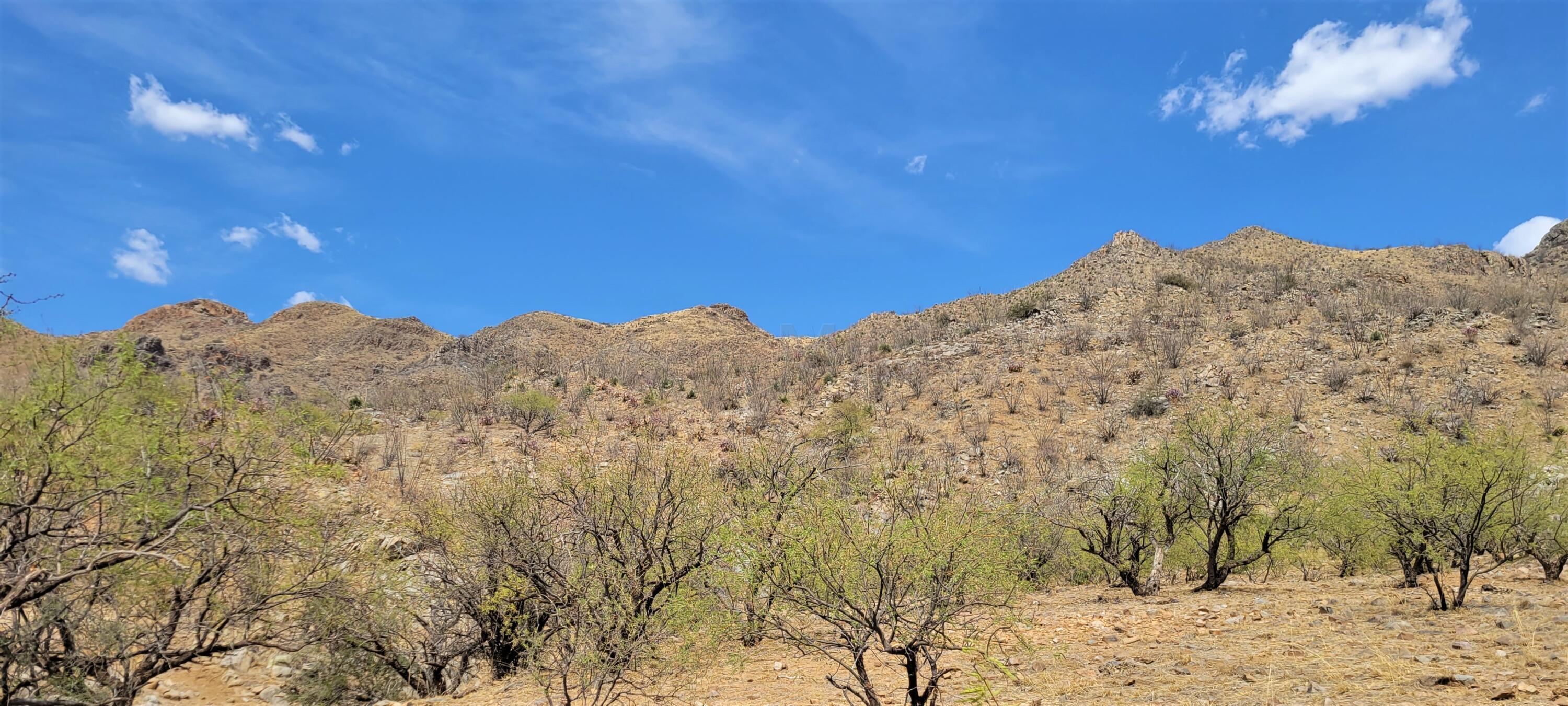 1501 Vía San Cayetano, Unit 25 Rio Rico, AZ 85648 - Photo 2 of 16