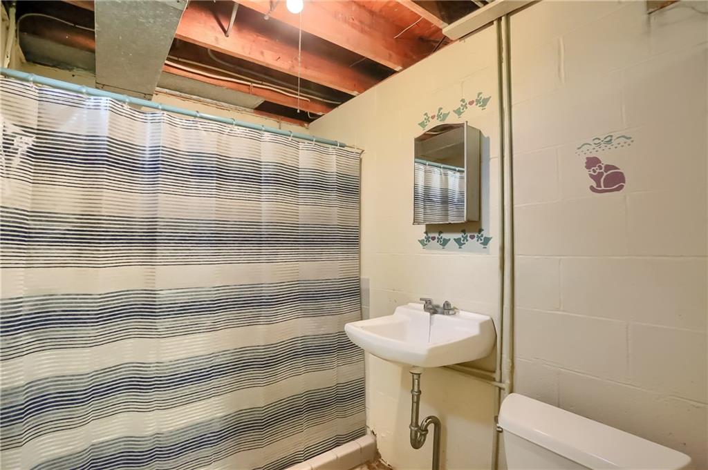 814 Marshall Road Monaca, PA 15061 - Photo 18 of 25 Basement full bath with shower and comode