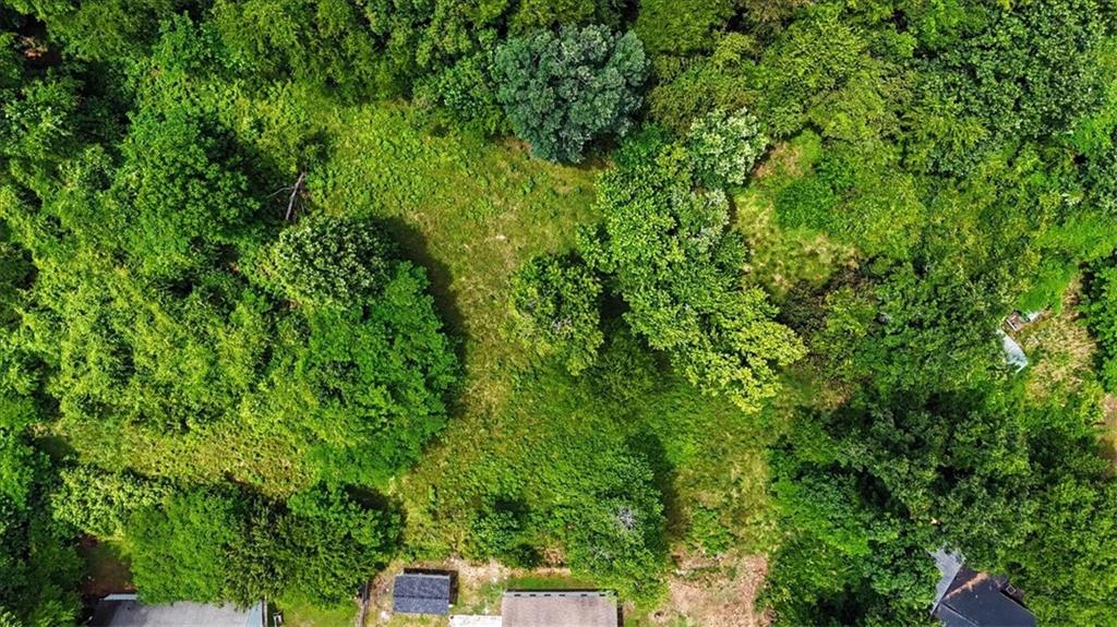 2115 King Road Dalton, GA 30720 - Photo 49 of 54 a view of a lush green forest
