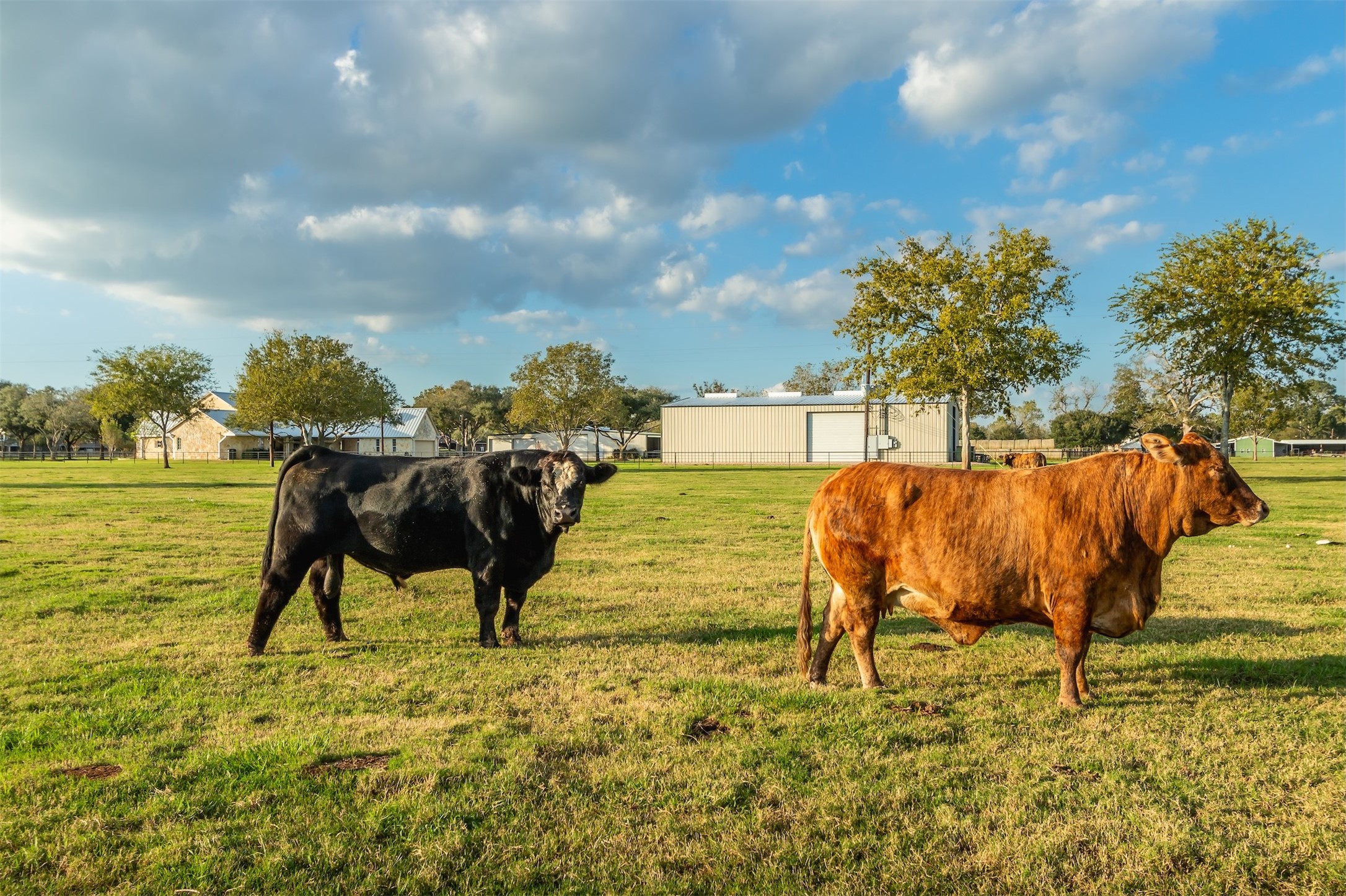 3150 Holmes Road Richmond, TX 77406 - Photo 27 of 28 a view of swimming pool with a table and chairs
