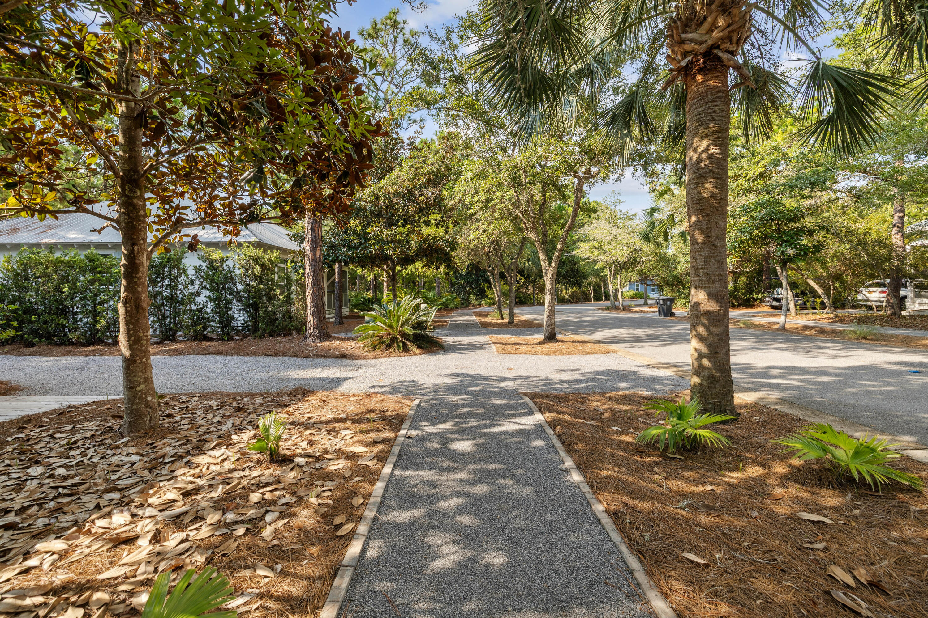 298 Cullman Avenue Santa Rosa Beach, FL 32459 - Photo 57 of 63 a view of a yard with plants and trees