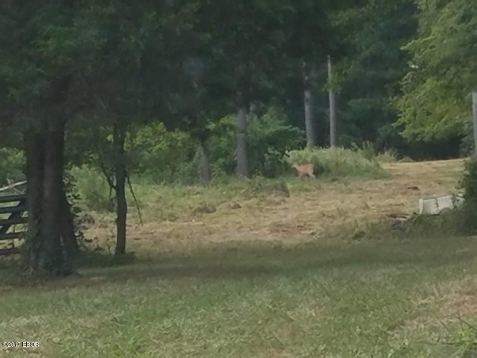 17866 Galatia Post Road Marion, IL 62959 - Photo 24 of 30