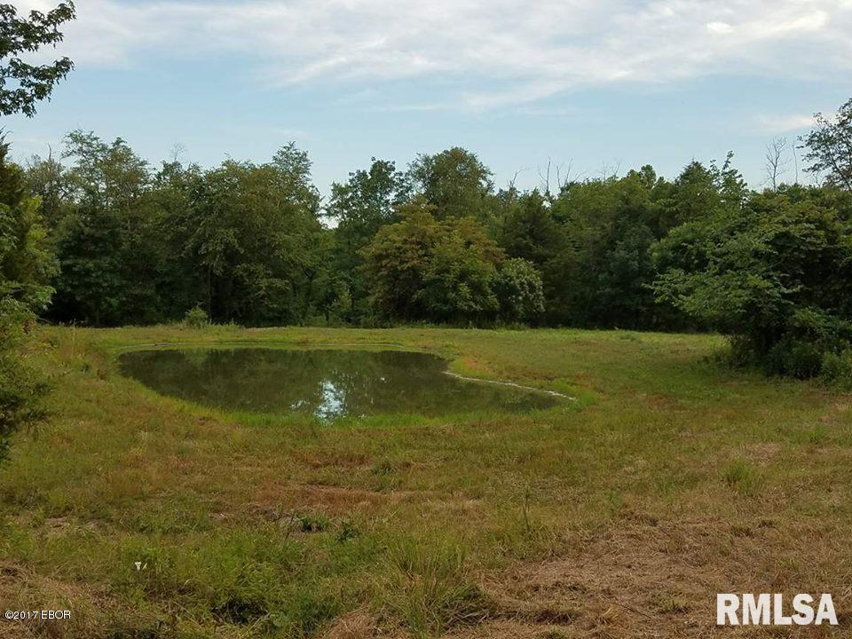 17866 Galatia Post Road Marion, IL 62959 - Photo 25 of 30