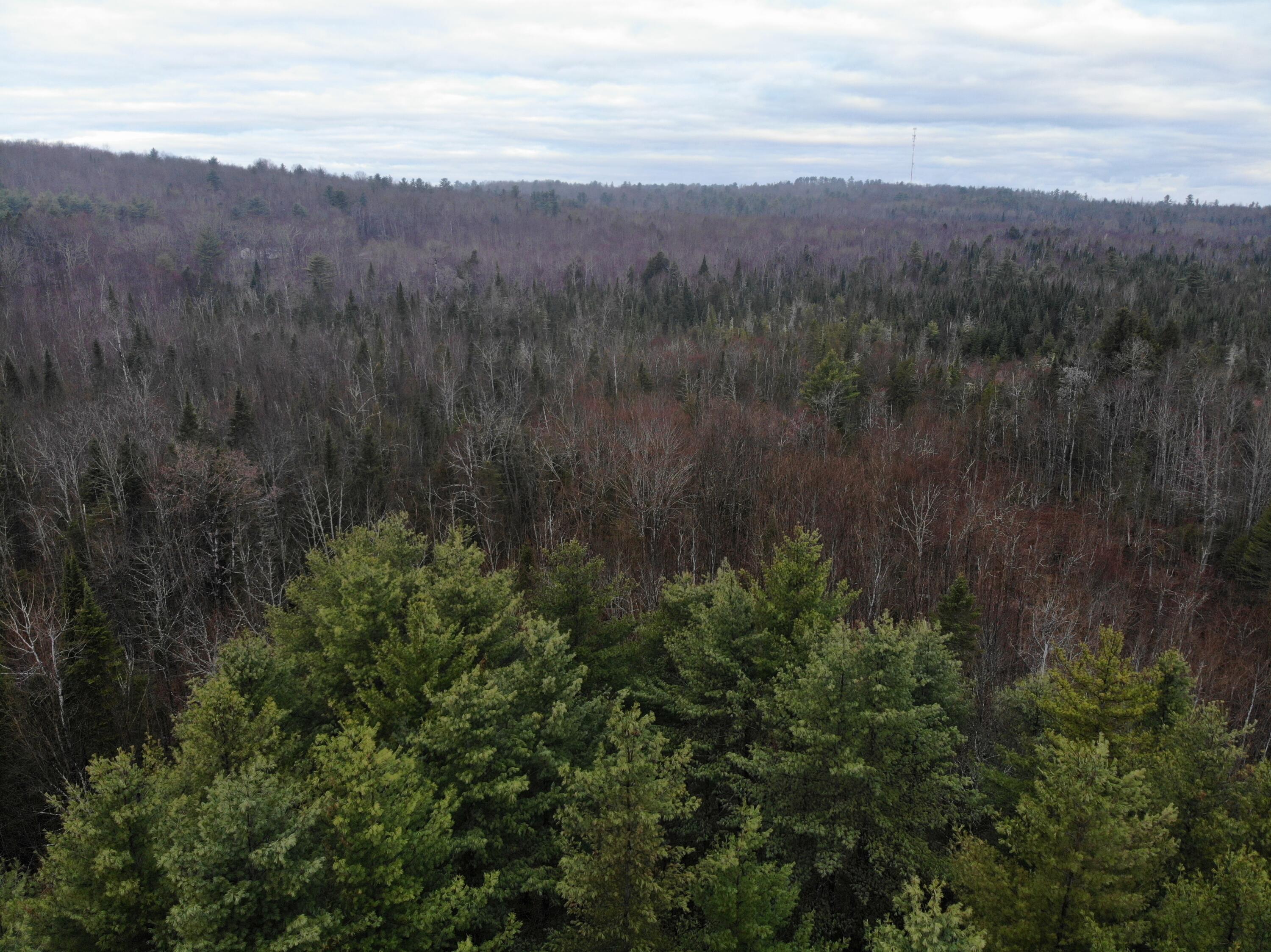 Map5-lot1 Silvers Mills Road Sangerville, ME 04479 - Photo 20 of 33