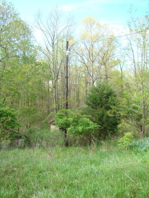 700 Oil Springs Road Winchester, KY 40391 - Photo 9 of 10 Photo 9