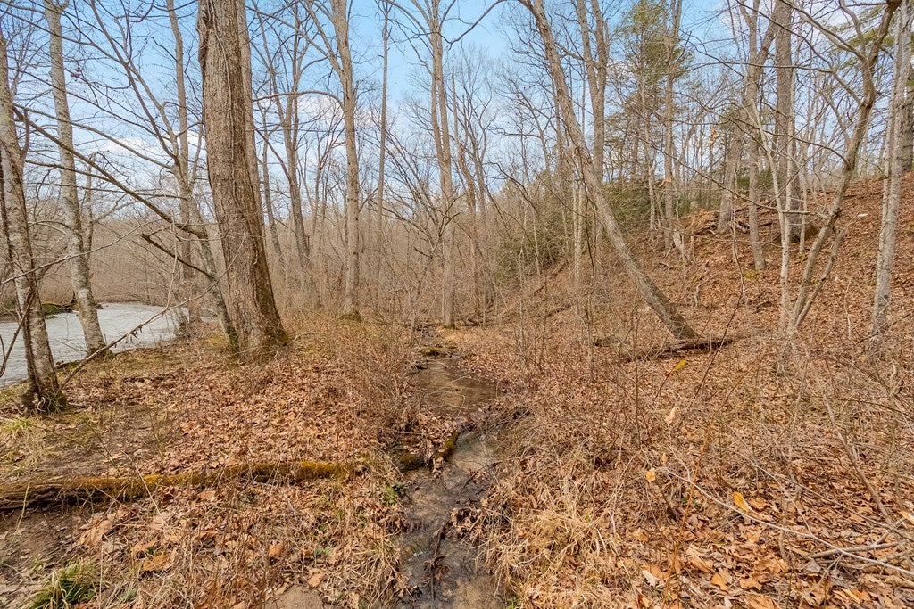 0 Grapefield Road Bastian, VA 24314 - Photo 45 of 63 Gallery Image 45