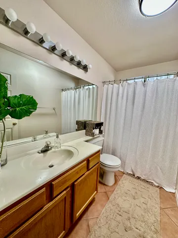 a bathroom with a sink a toilet and mirror