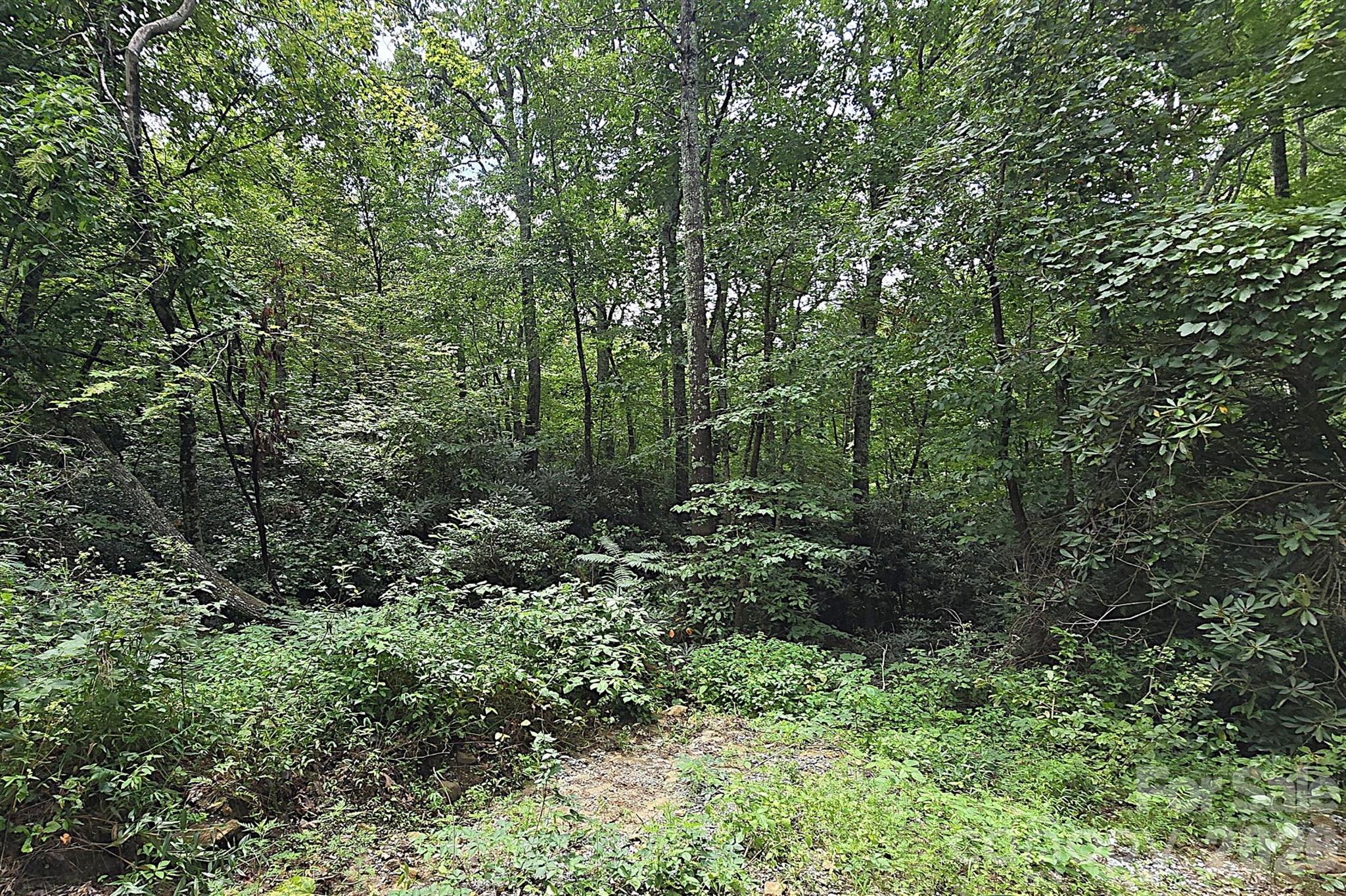 86 Pine Ridge Road Hendersonville, NC 28792 - Photo 30 of 31 Gallery Image 30