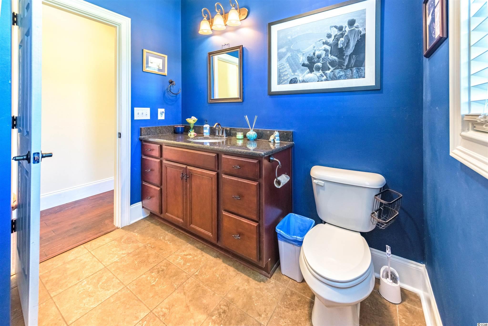 490 Bear Grass Ridge Conway, SC 29526 - Photo 19 of 40 Gallery Image 19