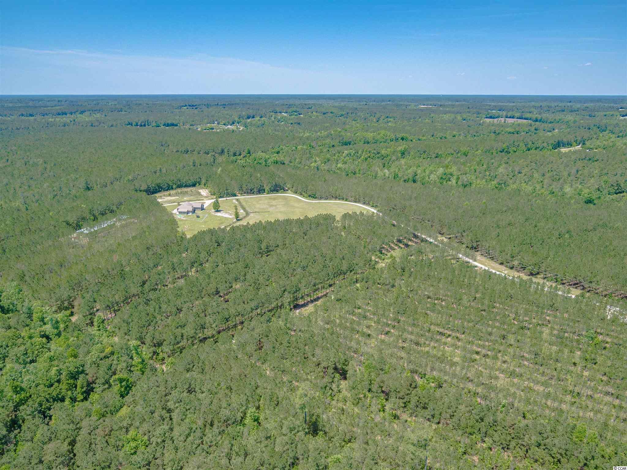 490 Bear Grass Ridge Conway, SC 29526 - Photo 31 of 40 Gallery Image 31