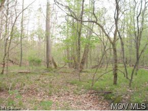 Lot# 3 California House Road Reader, WV 26167 - Photo 9 of 9 Gallery Image 9