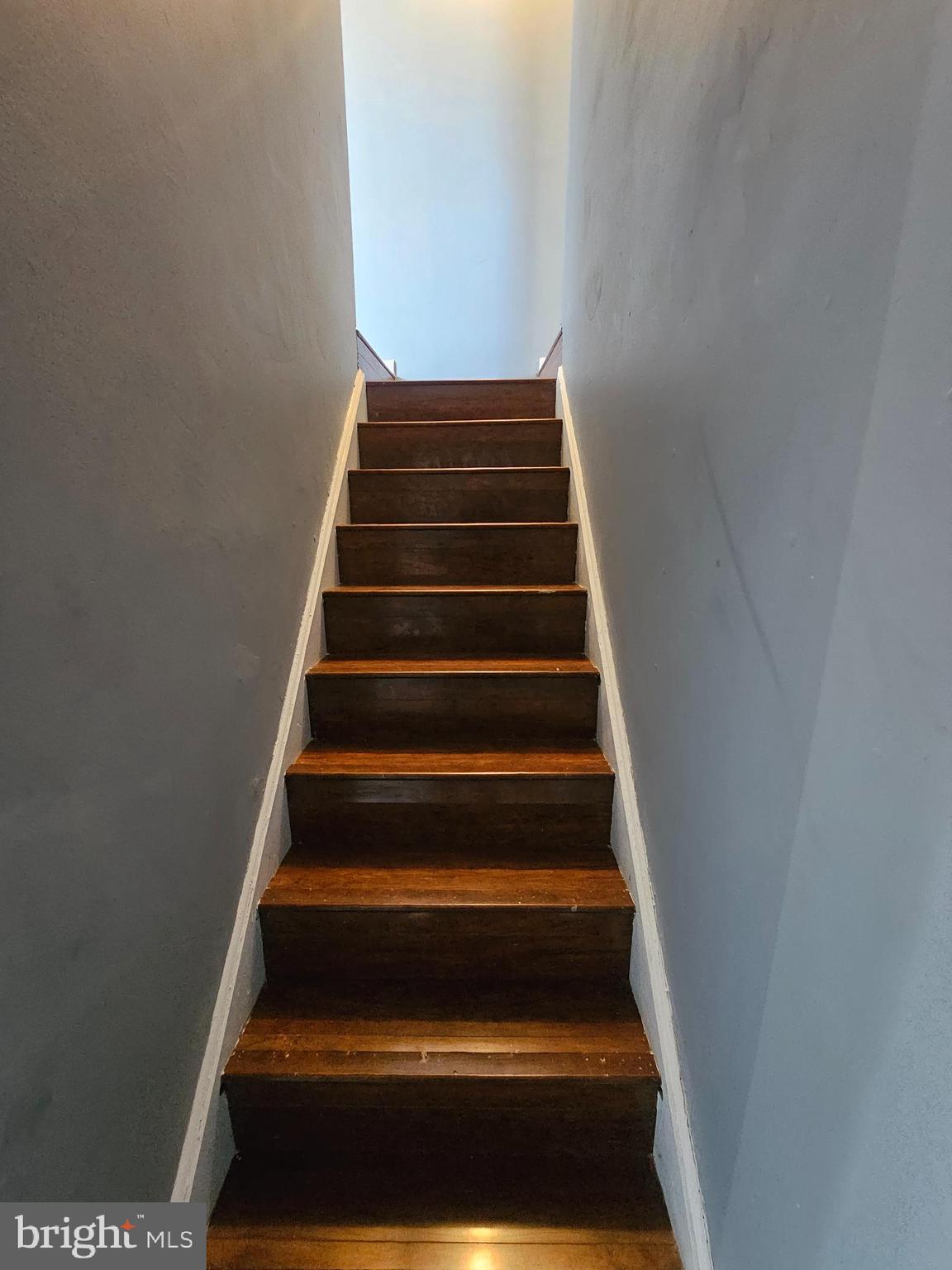 249 East Sharpnack Street Philadelphia, PA 19119 - Photo 13 of 18