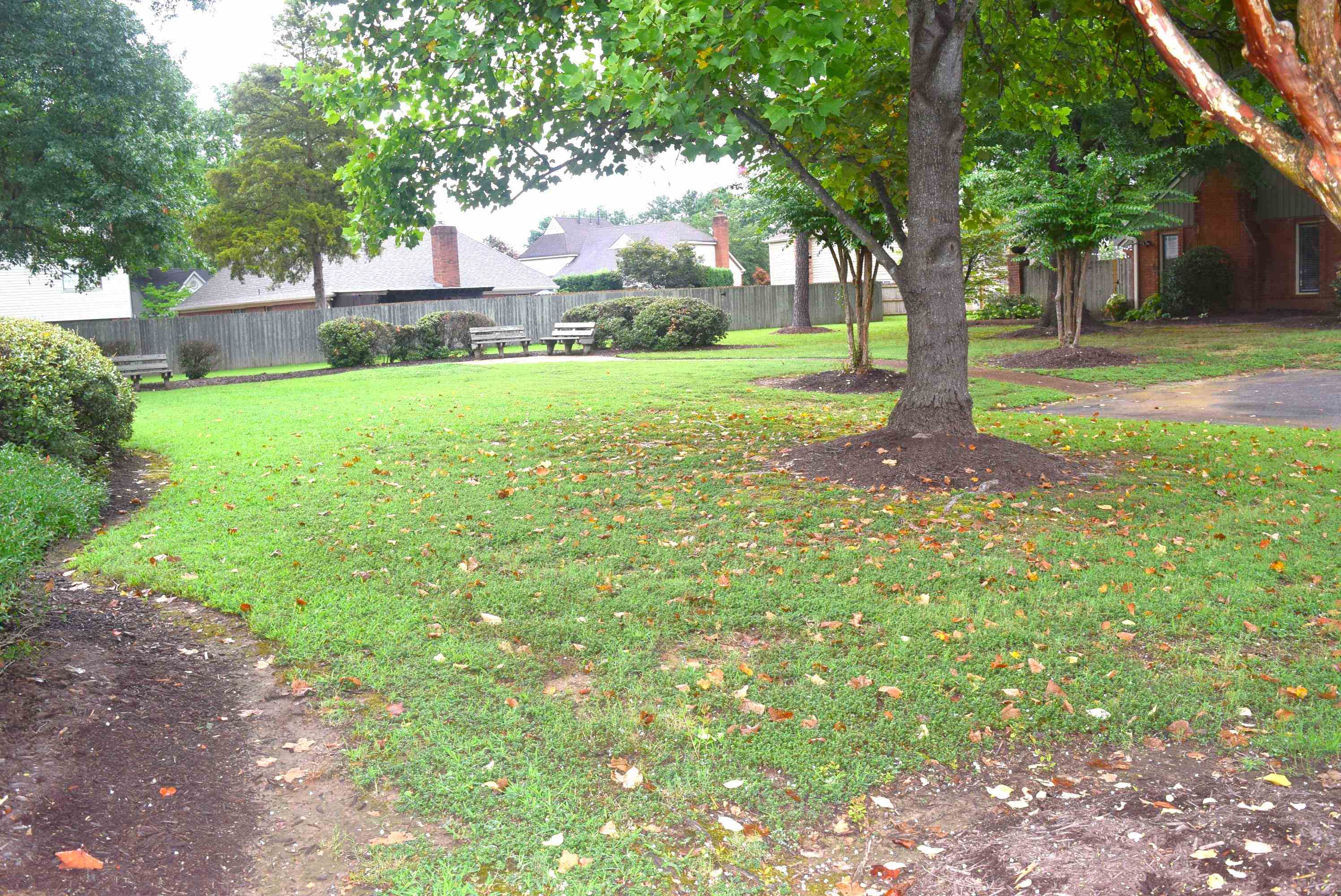 1831 Allenby Green, Unit 1831 Germantown, TN 38139 - Photo 22 of 25 a view of a yard with plants and trees
