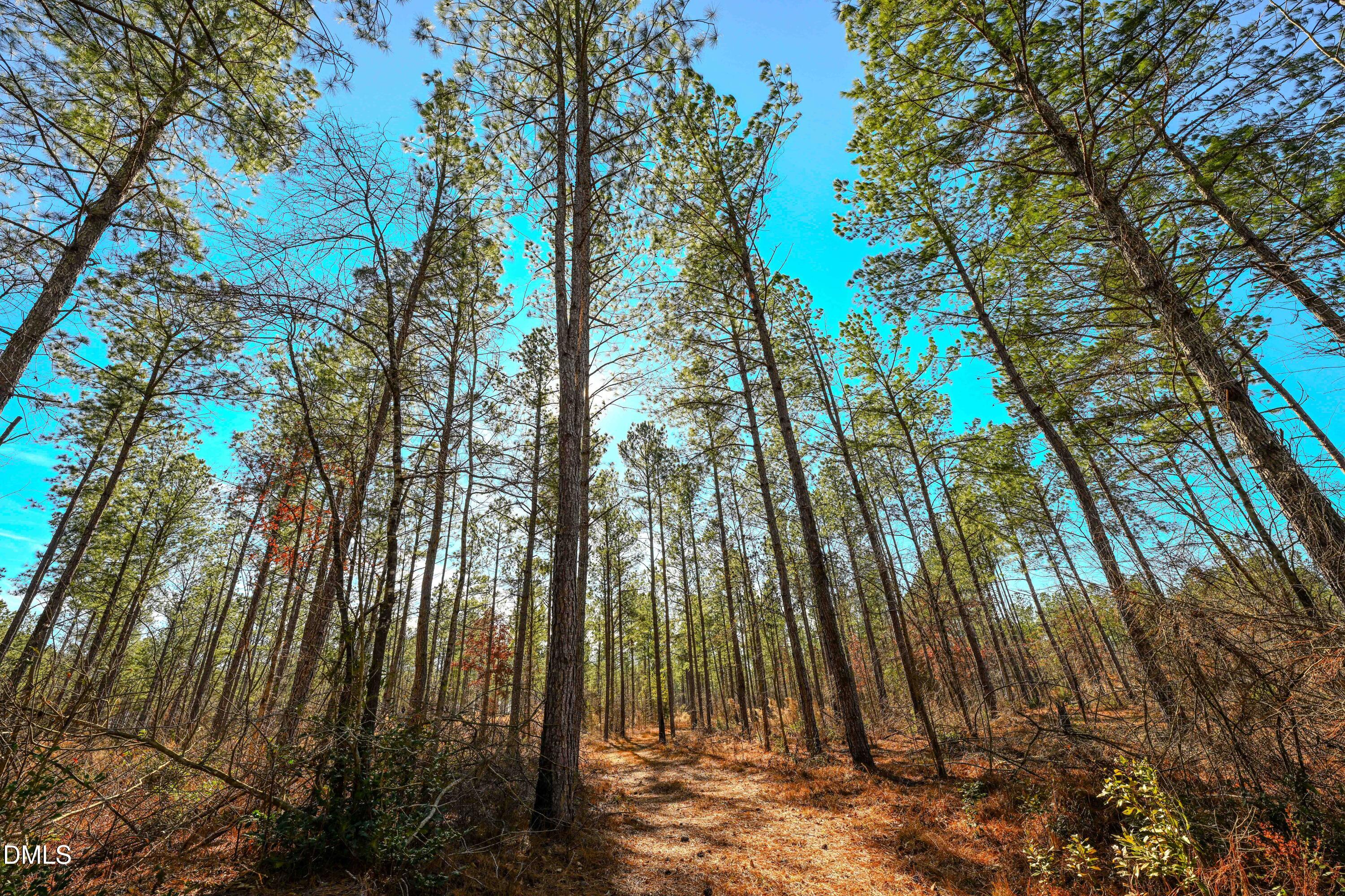 2729 McNeill Hobbs Road Bunnlevel, NC 28323 - Photo 17 of 75 019
