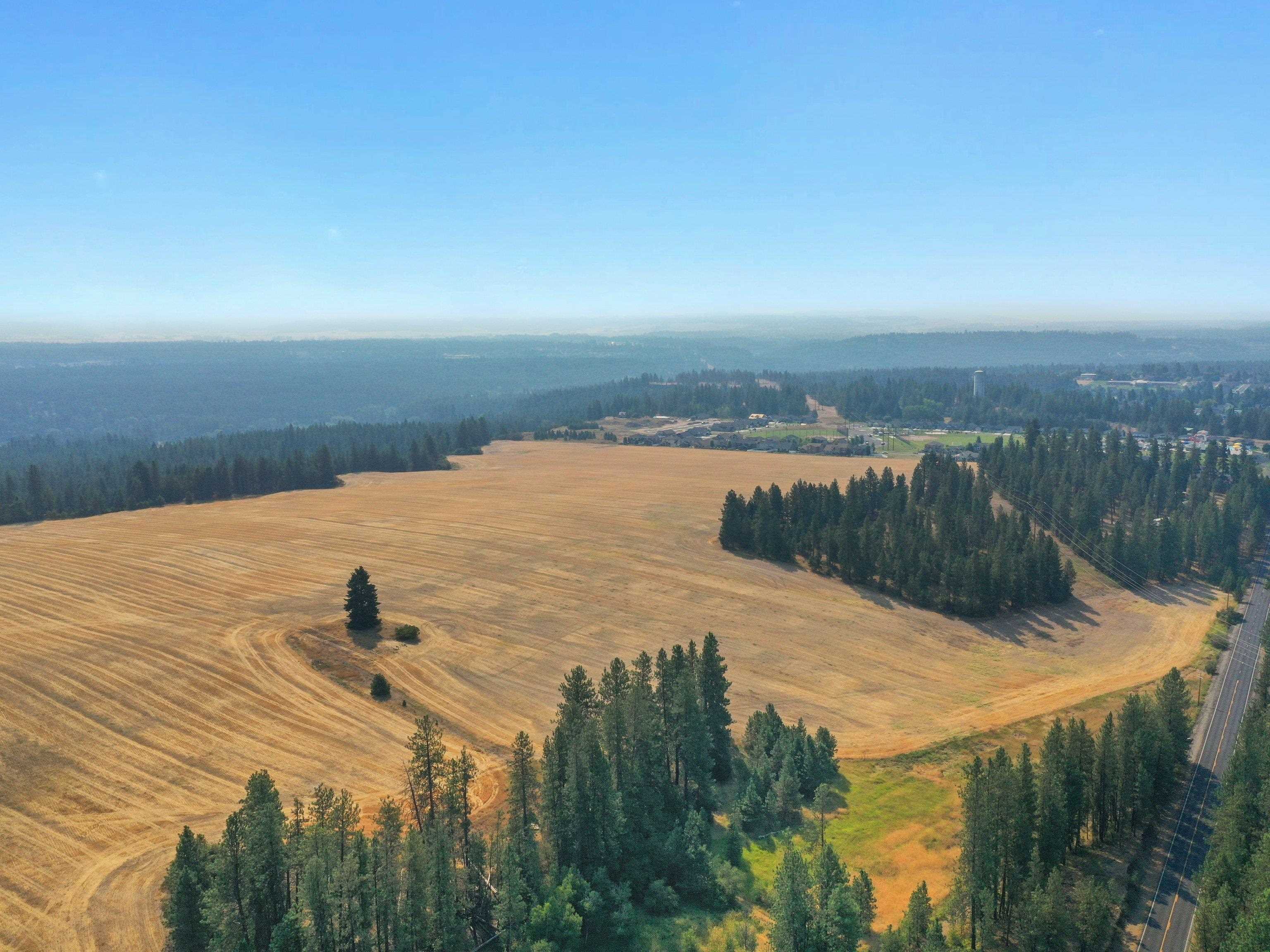 185-xx North Hatch Road Colbert, WA 99005 - Photo 14 of 17