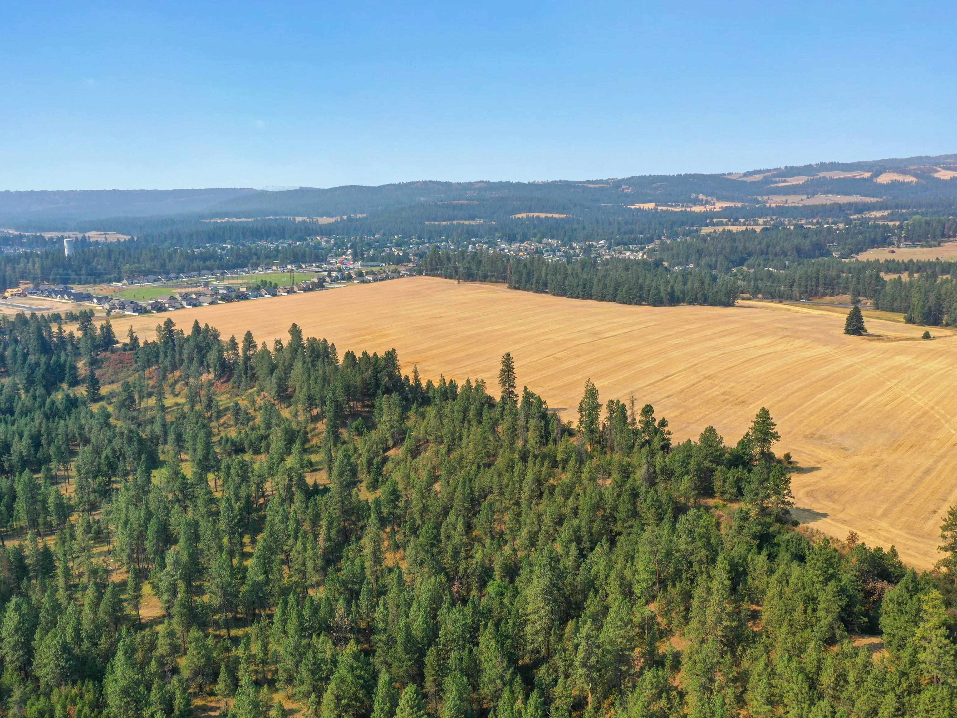 185-xx North Hatch Road Colbert, WA 99005 - Photo 16 of 17
