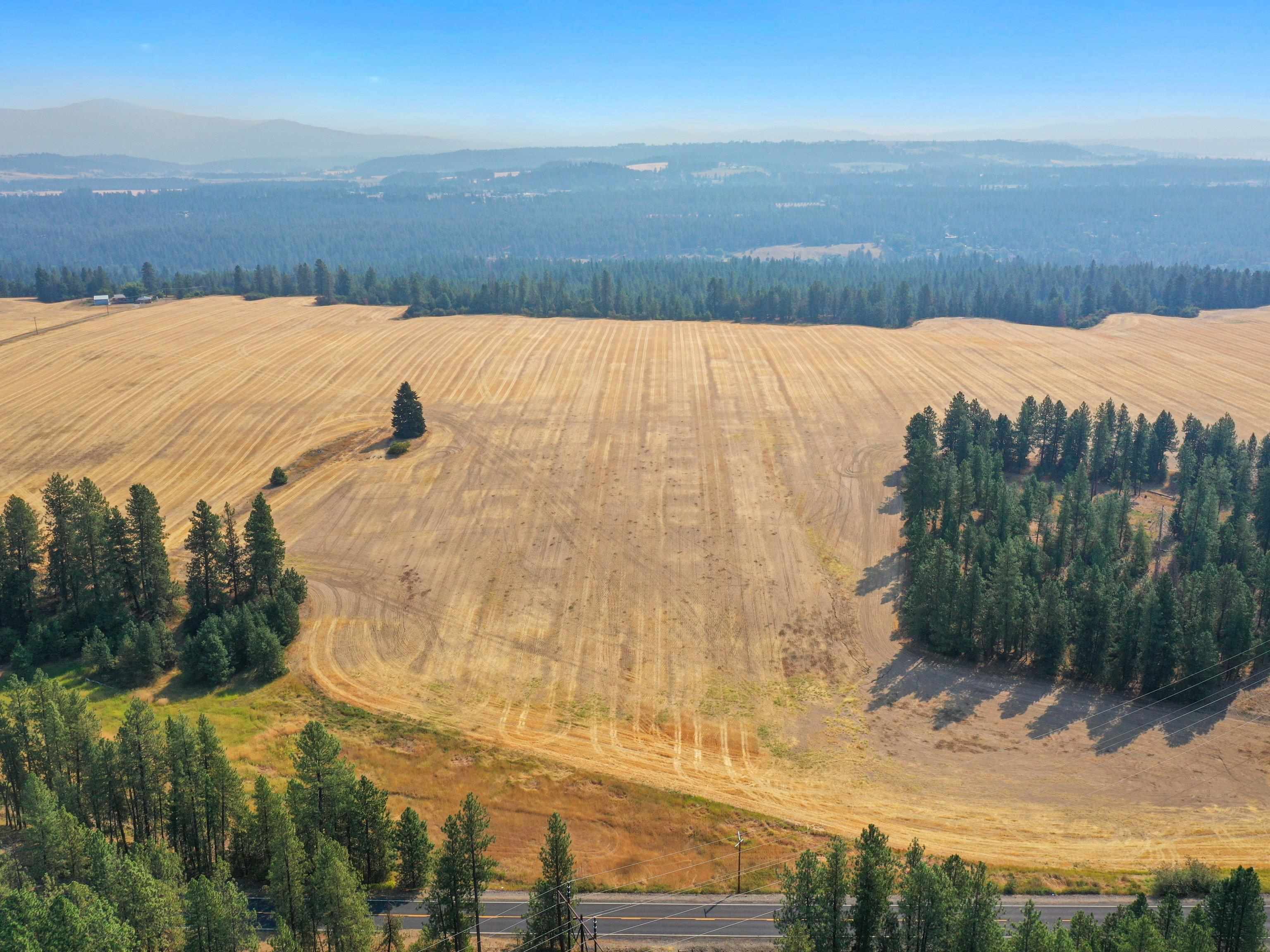 185-xx North Hatch Road Colbert, WA 99005 - Photo 6 of 17