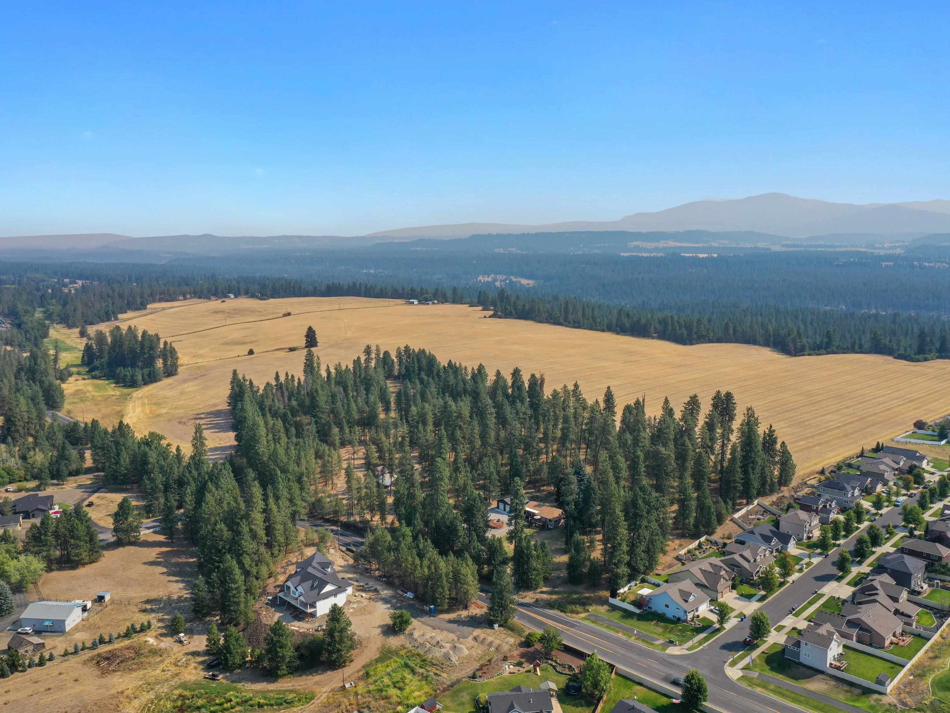 185-xx North Hatch Road Colbert, WA 99005 - Photo 8 of 17