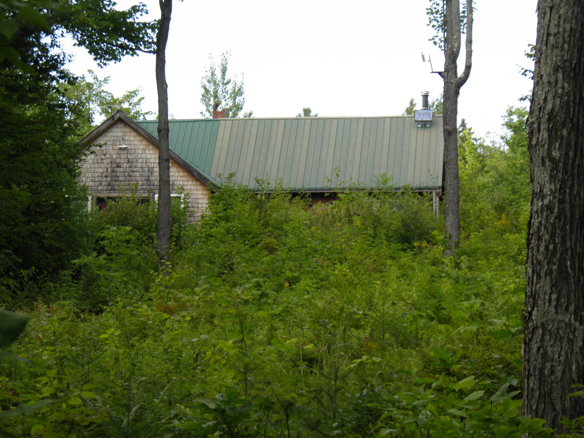 7 Mount Blue Road South Avon, ME 04966 - Photo 13 of 31 P8240234