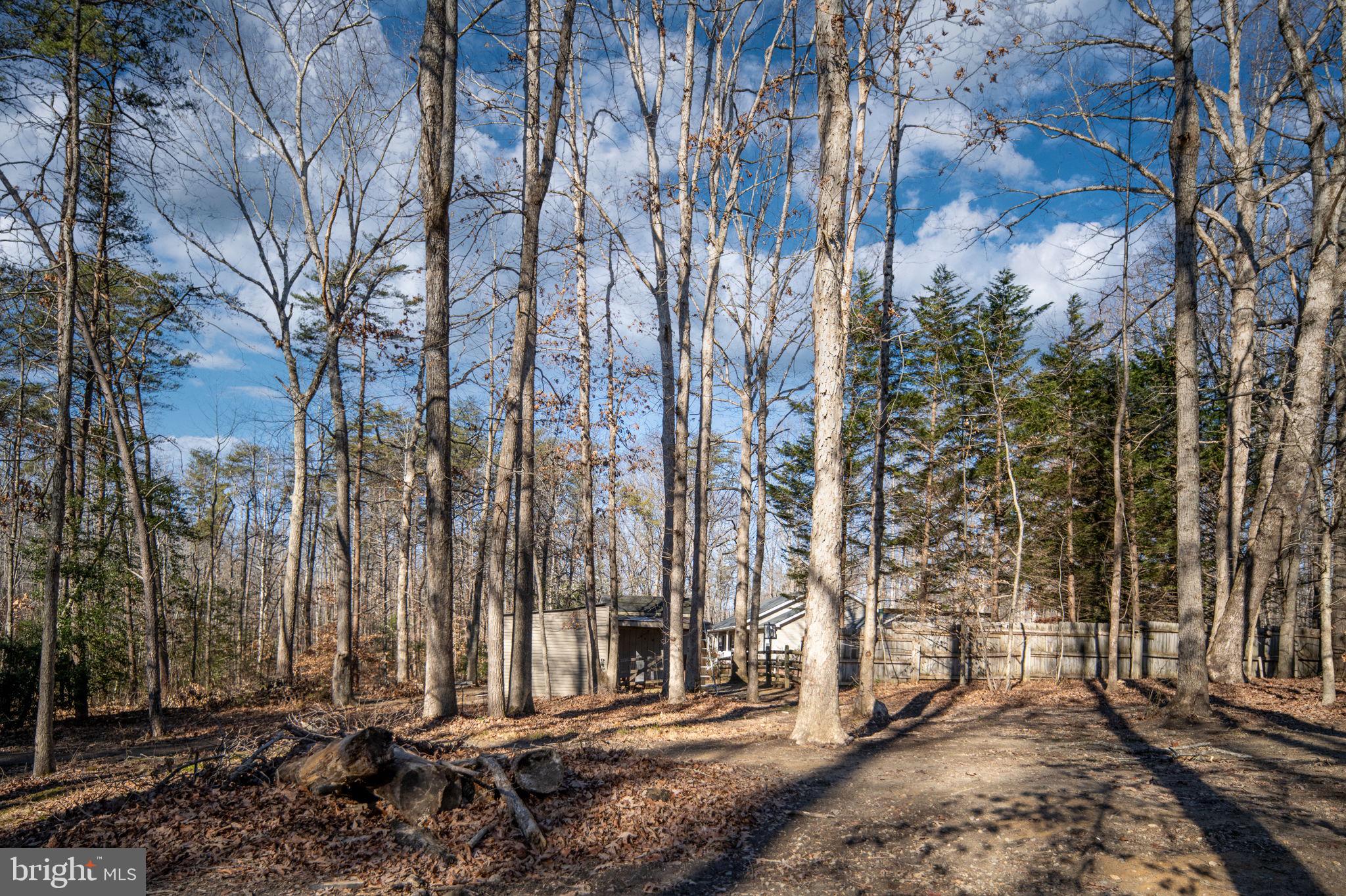 435 Halls Store Road Mineral, VA 23117 - Photo 45 of 59 a view of a building with large trees