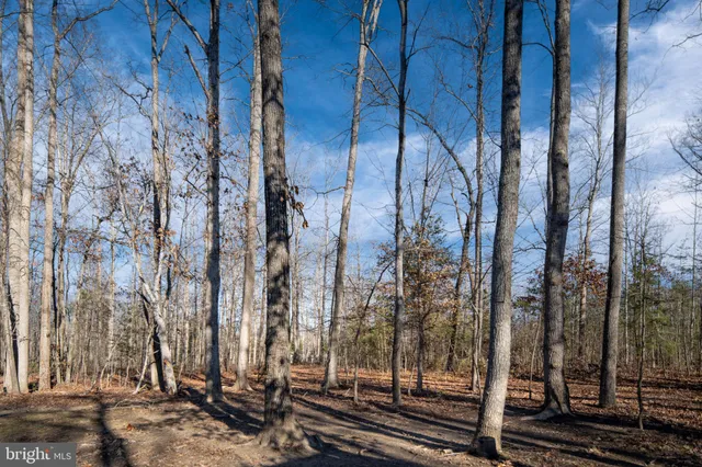 a view of a brick wall with a large window